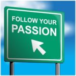 The Purpose of Passion -TINAM 1.0